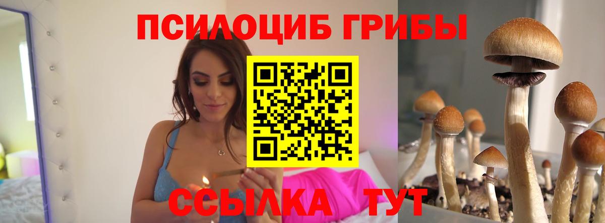 Псилоцибиновые грибы прущие грибы  где купить   Уссурийск  Галлюциногенные грибы MAGIC MUSHROOMS  Вход с VPN 